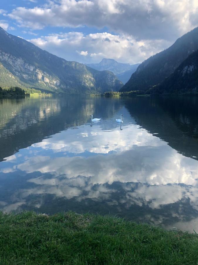 バート・ゴイーザーンDachstein 529アパートメント エクステリア 写真